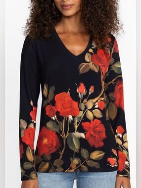 JOHNNY WAS THE JANIE FAVORITE LONG SLEEVE V‑NECK TEE Size Small